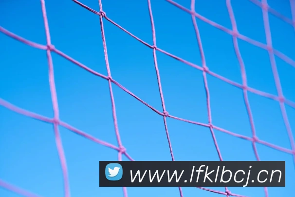 hth华体育官网平台生态图